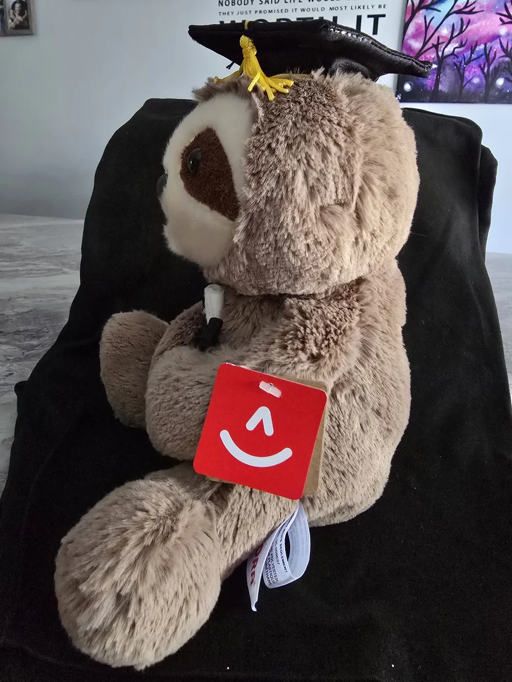 Graduate Sloth - Graduation Celebration! - Picture 2 of 4